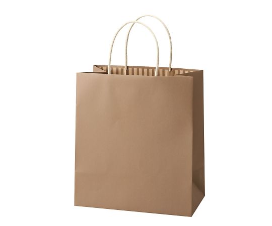 アズワン ST カラーズ アーモンド 240×140×270mm 1箱(10枚×10包入) XZT68309 1箱（ご注文単位1箱）【直送品】