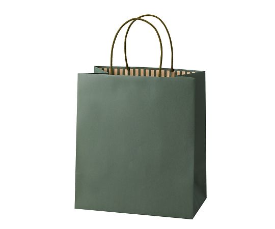 アズワン ST カラーズ オリーブ 240×140×270mm 1箱(10枚×10包入) XZT68308 1箱（ご注文単位1箱）【直送品】