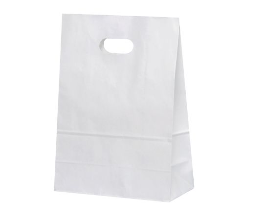 アズワン イーグリップ L 白無地 210×100×290mm 1箱(50枚×10包入) XZT52013 1箱（ご注文単位1箱）【直送品】