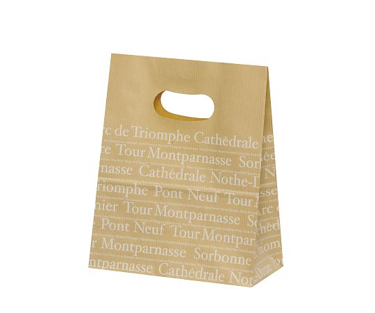 アズワン イーグリップ S フランセ 160×80×195mm 1箱(50枚×10包入) XZT52012 1箱（ご注文単位1箱）【直送品】