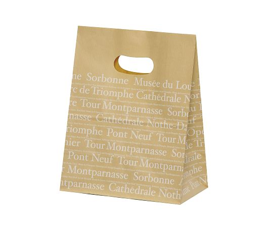 アズワン イーグリップ M フランセ 180×105×225mm 1箱(50枚×10包入) XZT52011 1箱（ご注文単位1箱）【直送品】