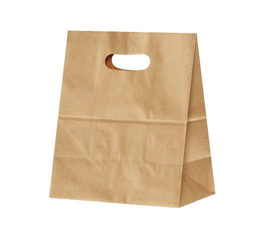 アズワン イーグリップLL 茶無地 230×135×270mm 1箱(50枚×10包入) XZT52026 1箱（ご注文単位1箱）【直送品】