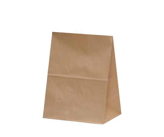 アズワン ハイバッグ H500 未晒 無地 210×135×275mm 1箱(100枚×10包入) XZTT0396 1箱（ご注文単位1箱）【直送品】