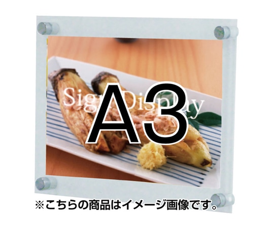 常磐精工 ウォールメイキャップアクリル A3 WKT-A3 1台（ご注文単位1台）【直送品】