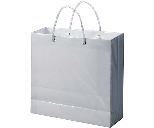 マツシロ 白無地ビニールカバーバッグ 小 10枚 62BC1 1パック（ご注文単位1パック）【直送品】