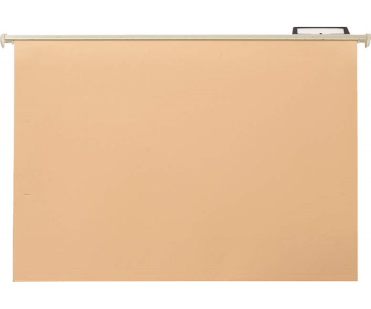 ライオン事務器 ハンガーフォルダー 1パック(20冊入) TD-HF-20P 1パック(ご注文単位1パック)【直送品】