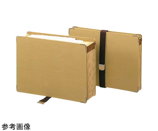 ライオン事務器 ドキュメントファイル DC-211 A4 1冊(ご注文単位1冊)【直送品】