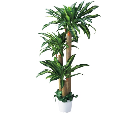 ストア・エキスプレス 幸福の木 フェイクグリーン H180cm 61-428-24-1 1台（ご注文単位1台）【直送品】