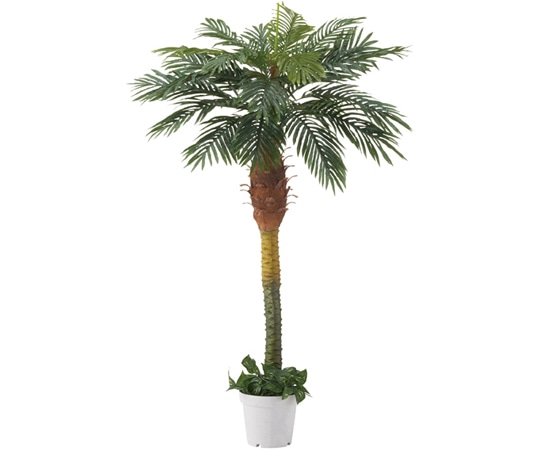 ストア・エキスプレス デラックスパームツリー フェイクグリーン H180cm 61-428-25-1 1台（ご注文単位1台）【直送品】