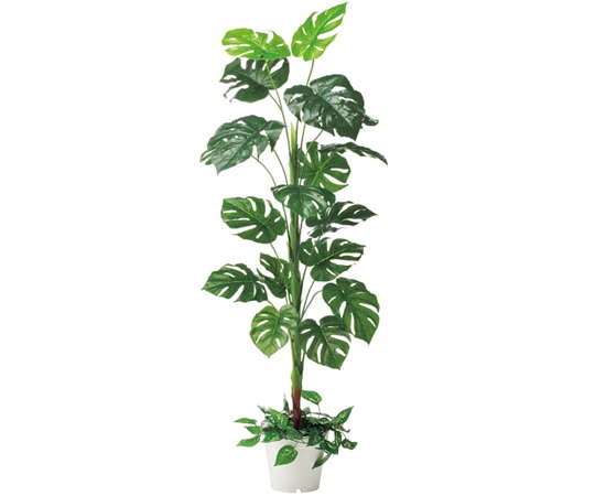 ストア・エキスプレス モンステラ フェイクグリーン H165cm 61-428-27-1 1台（ご注文単位1台）【直送品】