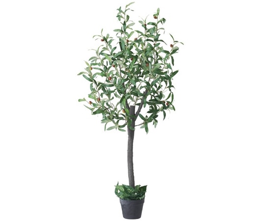 ストア・エキスプレス 人工樹木 フェイクグリーン H150cm オリーブ 61-655-55-3 1台（ご注文単位1台）【直送品】