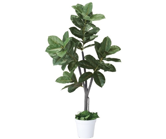 ストア・エキスプレス 人工樹木 フェイクグリーン H150cm ゴムの木 61-655-55-4 1台（ご注文単位1台）【直送品】