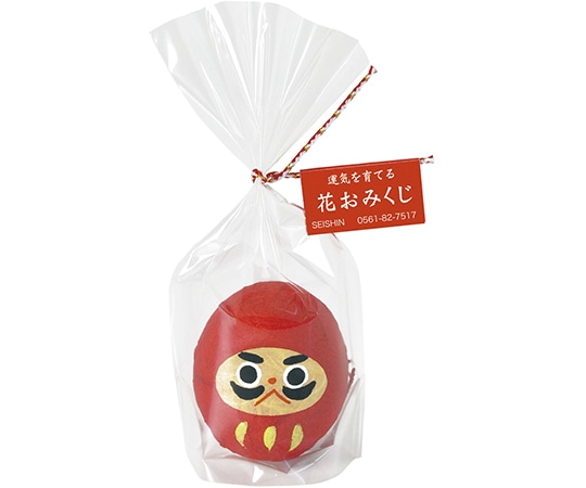 聖新陶芸 おみくじ だるま 赤 GD-32801 1個(ご注文単位1個)【直送品】