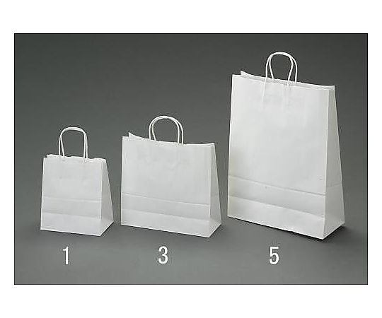 エスコ 340x220x320mm 紙袋(白無地/50枚) EA927SA-4 1セット（ご注文単位1セット）【直送品】
