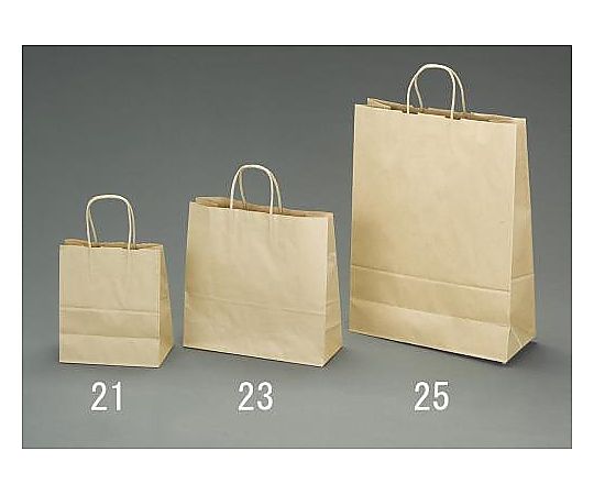 エスコ 210x120x250mm 紙袋(無地/50枚) EA927SA-21 1セット(ご注文単位1セット)【直送品】