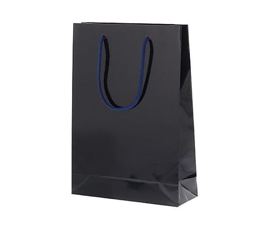 エスコ 225x 80x320mm 紙袋(フィルム加工/紫紺/10枚) EA927SA-57 1セット(ご注文単位1セット)【直送品】