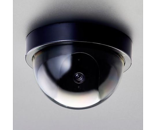 アズワン [単3x2本] 防犯用ダミーカメラ(屋内用/ドーム型) EA864CD-122 1個(ご注文単位1個)【直送品】