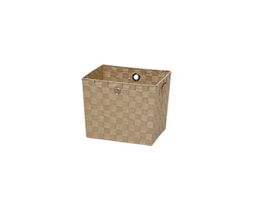 アイリスオーヤマ カラーバスケット ベージュ CBK-31D 1個（ご注文単位1個）【直送品】