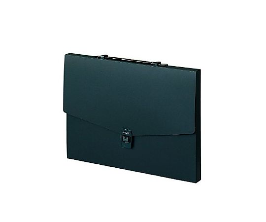 アズワン B4/300x417mm デザインケース(黒) EA762CF-472 1冊(ご注文単位1冊)【直送品】