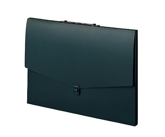 アズワン A2/460x635mm デザインケース(黒) EA762CF-476 1冊(ご注文単位1冊)【直送品】