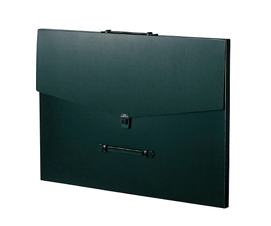 アズワン B2/570x800mm デザインケース(黒) EA762CF-477 1冊(ご注文単位1冊)【直送品】