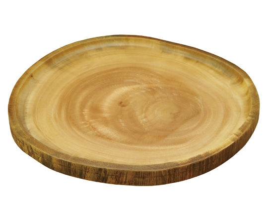 ヤマコー Soma ディッシュ L 81929 1個（ご注文単位1個）【直送品】