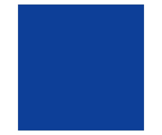 ケニヨン リペアーテープ タフタ ROYAL-BLUE KY11020RBL 1枚（ご注文単位1枚）【直送品】