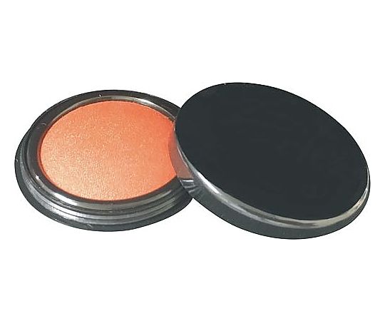 サンビー サンビー速乾朱肉50号 SS-NB50 1個（ご注文単位1個）【直送品】