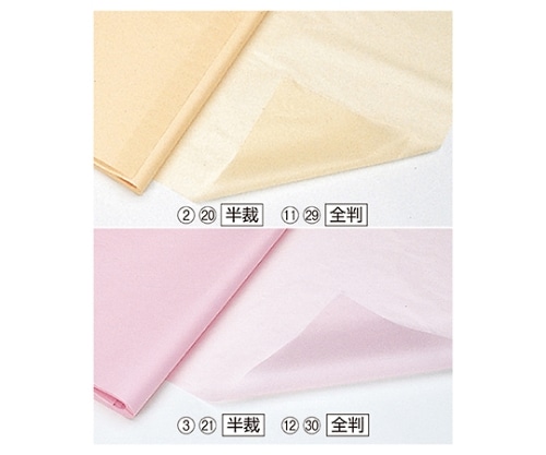 ストア・エキスプレス 薄葉紙 全判 アイボリー 入数1000枚 61-281-12-29 1セット（ご注文単位1セット）【直送品】