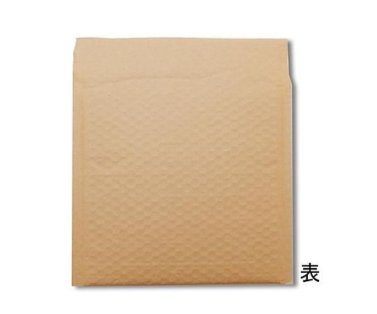 アズワン 190x170mm クッション封筒(未晒/10枚) EA762GF-2 1袋(ご注文単位1袋)【直送品】