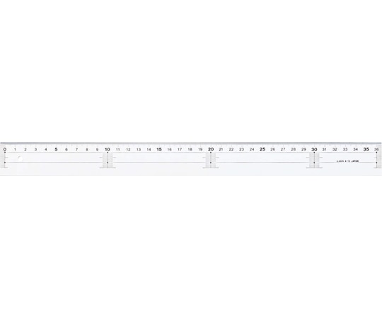 ライオン事務器 アクリル直線定規 A-12 1本(ご注文単位1本)【直送品】