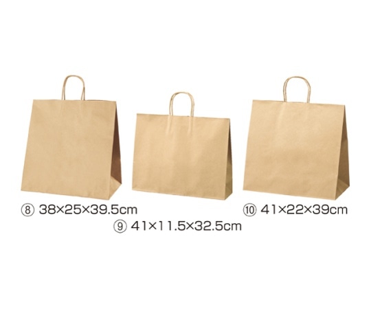 ストア・エキスプレス 持ち手付き紙袋 丸ひもタイプ 茶無地 41×11.5×32.5 入数200枚 61-431-24-21 1セット（ご注文単位1セット）【直送品】