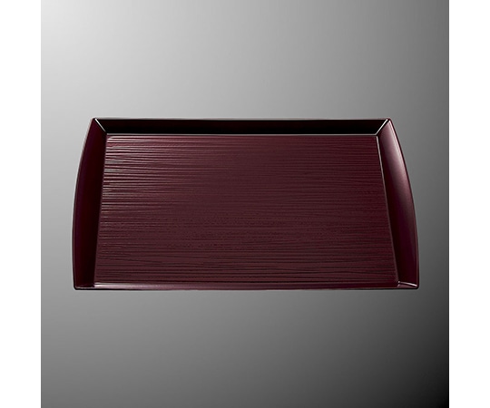 国際化工 尺4NOSトレー タメ NA 4-TM 1個（ご注文単位1個）【直送品】