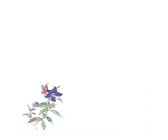 マイン 耐油懐敷 15角 ききょう 1000枚入 C33-003 295245 1セット（ご注文単位1セット）【直送品】