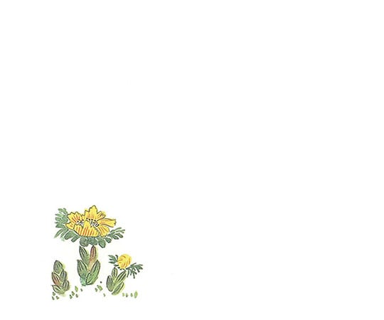 マイン 耐油懐敷 15角 福寿草 1000枚入 C30-390 295217 1セット（ご注文単位1セット）【直送品】