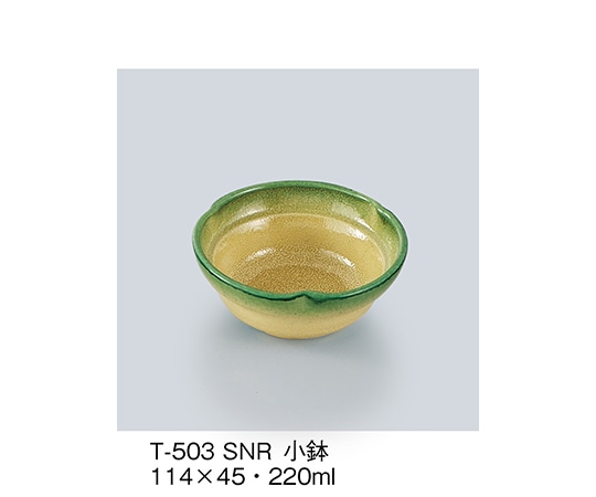 三信化工 小鉢 新緑 T-503_SNR 1個（ご注文単位1個）【直送品】