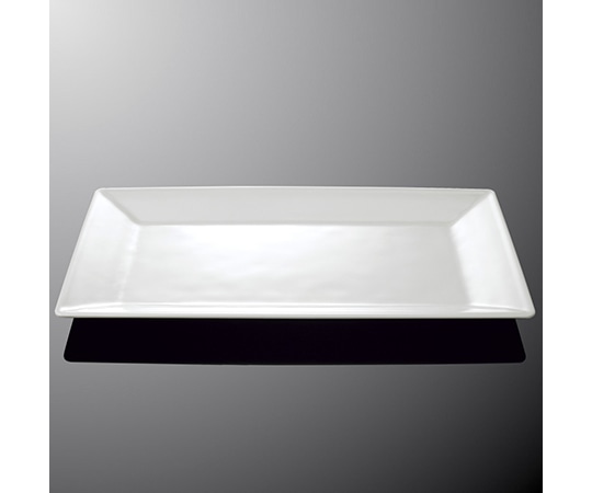 国際化工 45cm長角プレート ホワイトC E 245-IWC 1個（ご注文単位1個）【直送品】