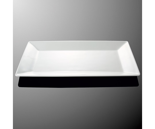 国際化工 50cm長角プレート ホワイトC E 246-IWC 1個（ご注文単位1個）【直送品】