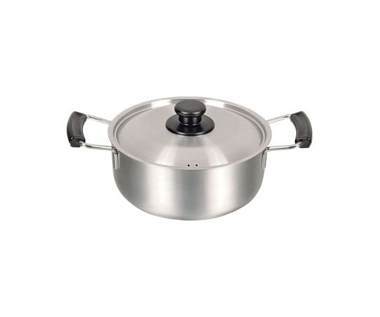 パール金属 メイドインジャパン ステンレス製両手鍋 20cm HB-1884 1個（ご注文単位1個）【直送品】