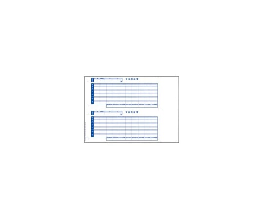 OBC 奉行シリーズ専用 単票給与明細書 1箱(1000セット入) 6101 1箱(ご注文単位1箱)【直送品】