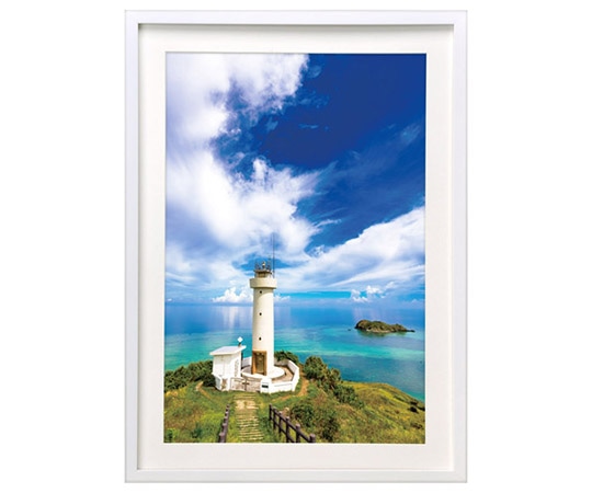 ハクバ写真産業 木製額縁 MM-01 A3ノビサイズ ホワイト FWMM01-WTA3N 1個(ご注文単位1個)【直送品】