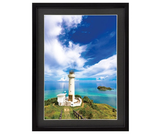 ハクバ写真産業 木製額縁 MM-01 A3サイズ ブラック FWMM01-BKA3 1個(ご注文単位1個)【直送品】