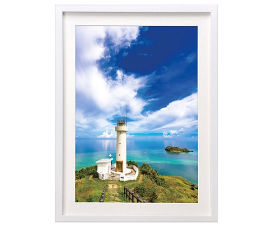 ハクバ写真産業 木製額縁 MM-01 A4サイズ スタンド付 ホワイト FWMM01-WTA4 1個(ご注文単位1個)【直送品】