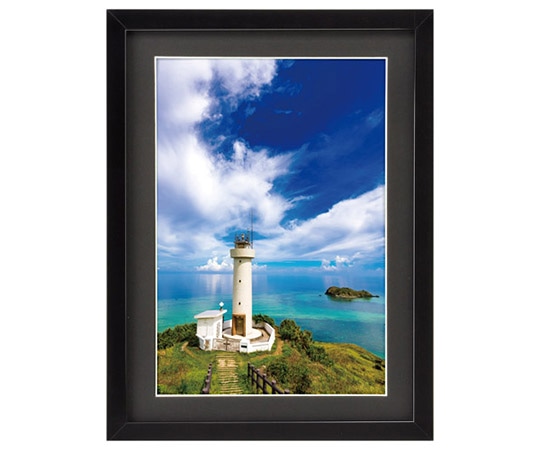 ハクバ写真産業 木製額縁 MM-01 A4サイズ スタンド付 ブラック FWMM01-BKA4 1個(ご注文単位1個)【直送品】