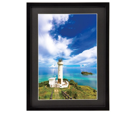 ハクバ写真産業 木製額縁 MM-01 ワイド4切サイズ ブラック FWMM01-BKW4 1個(ご注文単位1個)【直送品】