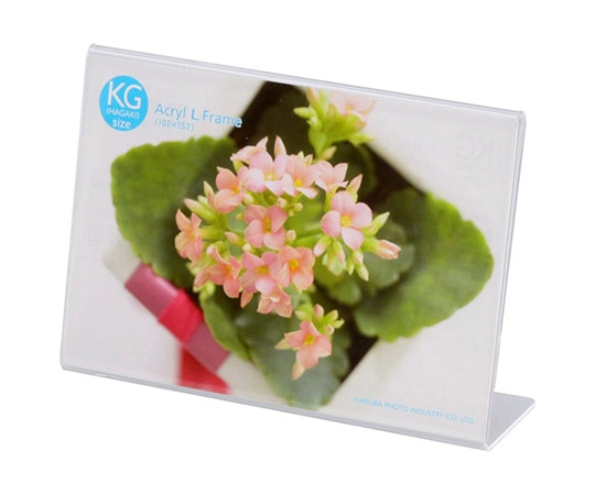ハクバ写真産業 アクリルLフレーム ハガキサイズ 1面(ヨコ) FACL-KGY 1個(ご注文単位1個)【直送品】