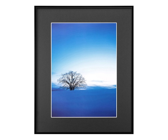 ハクバ写真産業 ZEROフレーム G-01 A3 ブラック FZG01-A3BK 1個(ご注文単位1個)【直送品】