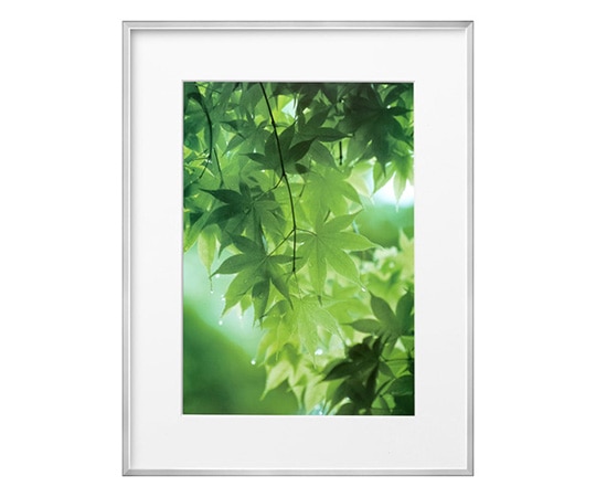 ハクバ写真産業 ZEROフレーム G-01 A3 シルバー FZG01-A3SV 1個(ご注文単位1個)【直送品】