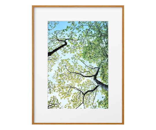 ハクバ写真産業 ZEROフレーム G-01 A3 ナチュラル FZG01-A3NT 1個(ご注文単位1個)【直送品】