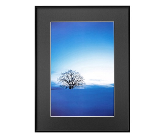 ハクバ写真産業 ZEROフレーム G-01 A3ノビ ブラック FZG01-A3NBK 1個(ご注文単位1個)【直送品】